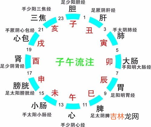 11点15分算早子时还是晚子时,晚上十一点五十五分属于什么时辰？