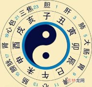 11点15分算早子时还是晚子时,晚上十一点五十五分属于什么时辰？