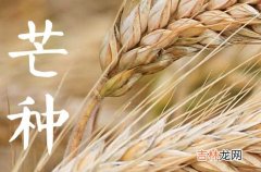 2023年芒种节气是几月几日 2023年6月6日芒种忙着种