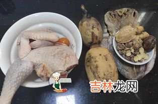 莲藕是凉性还是热性,莲藕是热性的还是凉性的?