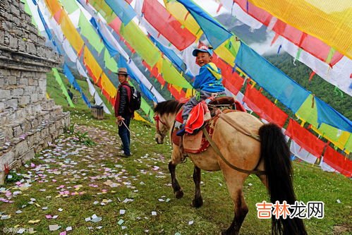 瑞士的风俗禁忌,去瑞士旅行的禁忌和须知有哪些?
