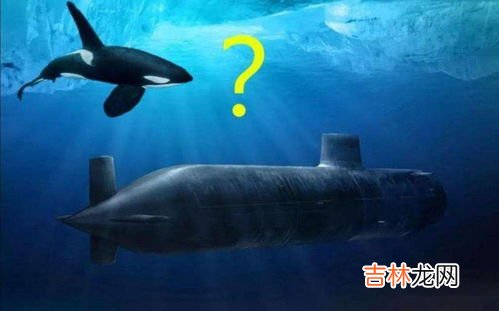 利用声波探测水下目标的装置叫什么,声呐系统是什么