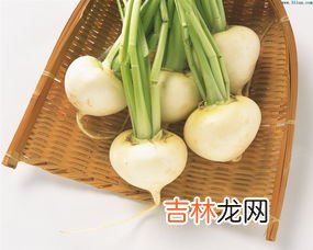 甜菜根生吃还是煮熟吃,如何食用甜菜根