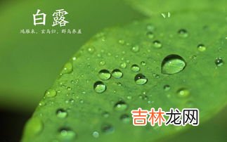 白露是什么意思,白露是什么意思？