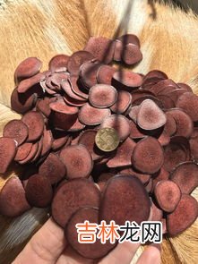吃蜂王胎的忌讳,蜂皇胎胶囊那些人不宜吃