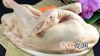 墨鱼是发物吗,墨鱼炖鸡的禁忌是发物吗?