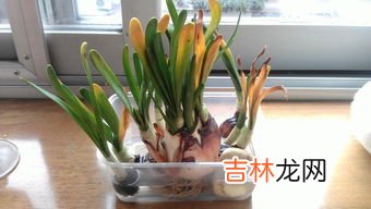 椰子汁发黄是坏了吗,椰子汁什么味道是变质了