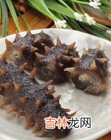 海参的营养价值和功效和禁忌,吃海参的好处和禁忌