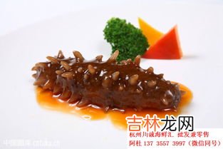 海参的营养价值和功效和禁忌,吃海参的好处和禁忌