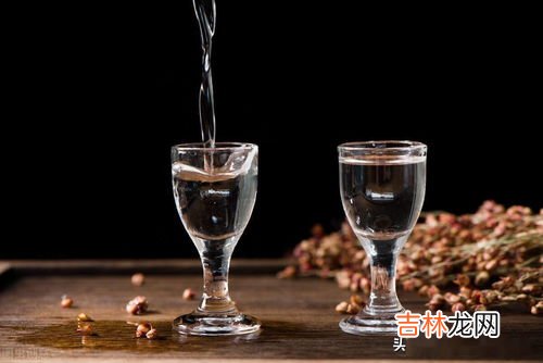 油甘酒的危害,油甘和橄榄一起泡酒可以吗?