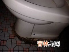 马桶两个孔怎么堵图解,马桶下面两个孔怎么堵住一个