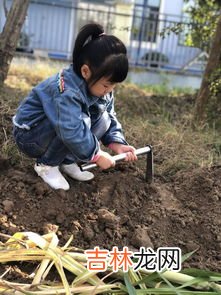 去皮甘蔗怎么保存,削皮的甘蔗怎么存放你学会了吗