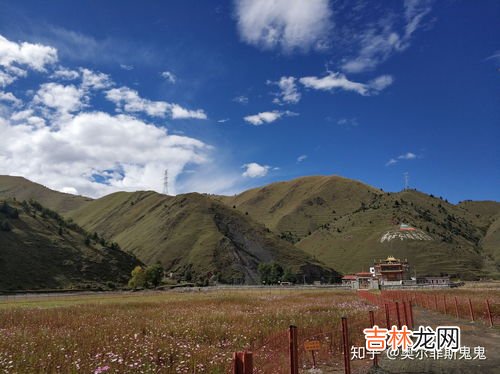 高海拔地区需要注意什么,高原旅游注意事项