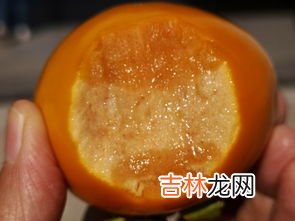 柿子和芒果能一起吃吗,芒果和柿子饼可以一起吃吗