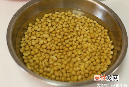 黄豆叶子能当菜吃么,青黄豆可以做早餐吃吗