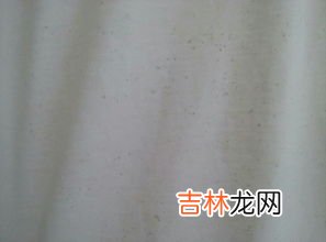白胶粘衣服上怎么洗掉,衣服不小心沾了白乳胶，应该如何清洗？