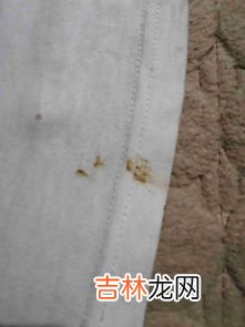 白胶粘衣服上怎么洗掉,衣服不小心沾了白乳胶，应该如何清洗？