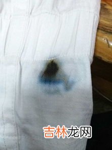 衣服上沾了墨水怎么洗,衣服上沾染了墨水怎么洗掉？