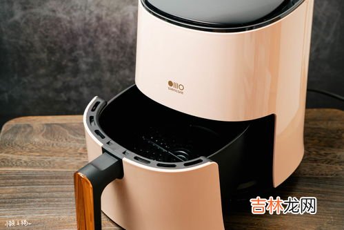 空气炸锅油纸有孔还是没孔的,空气炸锅纸垫无孔还是有孔