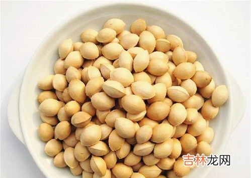 银杏果能吃吗,银杏果实可以吃吗