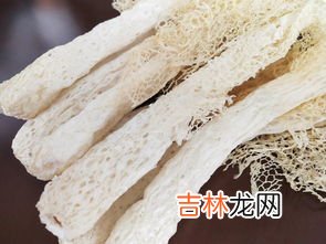 竹荪的伞裙能吃吗,干竹荪哪里不能吃图解