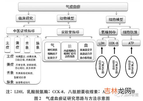 评价方式具体有哪些,教学评价八种方法是哪些?