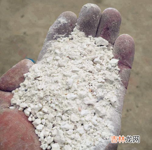 红薯淀粉和玉米淀粉的区别,玉米淀粉和红薯淀粉的区别