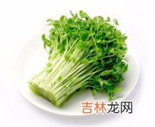 豆苗的营养价值和功效,豌豆苗有什么营养价值啊？