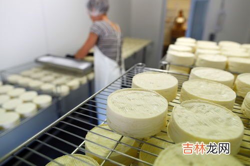 奶油奶酪是什么东西,奶油奶酪是芝士么