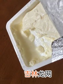 奶油奶酪是什么东西,奶油奶酪是芝士么