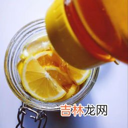 蜂儿的营养价值,蜂儿怎样吃