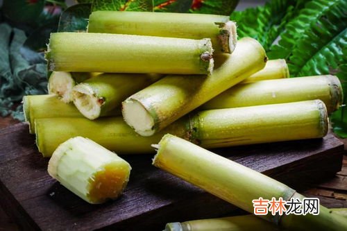 一根甘蔗相当于几碗米饭,一根甘蔗的热量是多少