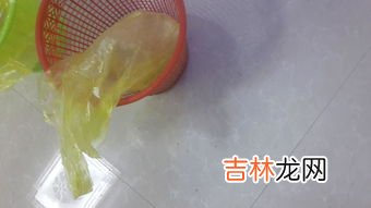 垃圾桶有虫子怎么消除,如何消灭垃圾桶里的小虫子？