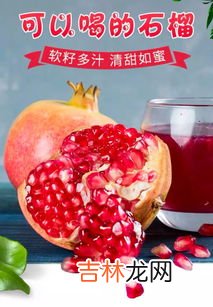 吃石榴不吐籽有危害吗,吃石榴是否需要吐籽?