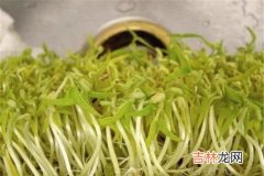 豆芽蛋白质含量,黄豆芽与绿豆芽的区别