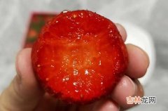 草莓什么季节成熟可以摘