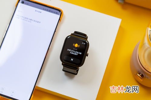 手表 app 有哪些可以使用,小米手表用什么app