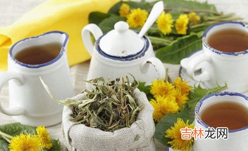 抹茶粉的功效与禁忌,抹茶粉泡水喝有什么功效与作用