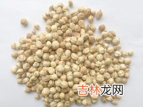 白蔻仁别名,白寇和豆蔻一样吗?