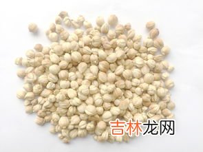 白蔻仁别名,白寇和豆蔻一样吗?