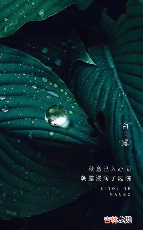 白露的风俗食物有哪些,白露的风俗食物有哪些