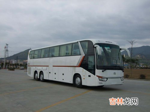 大巴车可以带宠物么,大巴车可以托运宠物吗