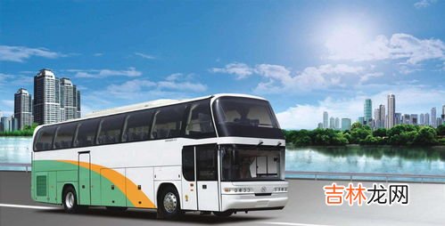 大巴车可以带宠物么,大巴车可以托运宠物吗