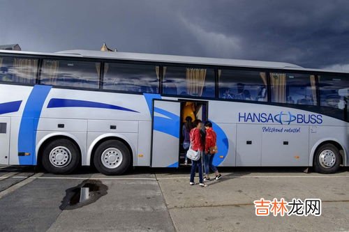 大巴车可以带宠物么,大巴车可以托运宠物吗