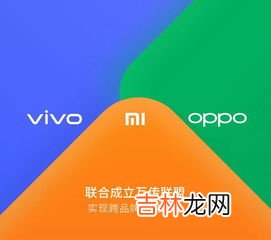 中国手机互传品牌排行榜,2023手机销量排行榜前十名