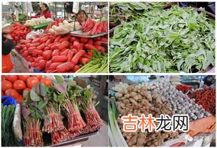 豌豆尖什么季节吃,豌豆尖哪个季节开