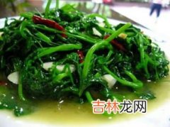 豌豆尖什么季节吃,豌豆尖哪个季节开