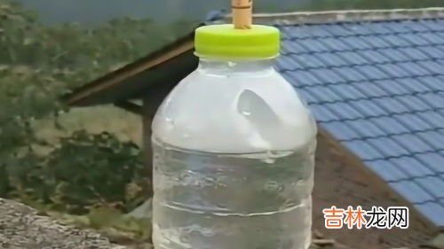 石灰水是什么,石灰水是什么
