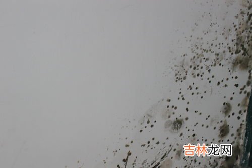 回南天墙面发霉的原因,房屋墙面发霉怎么回事原因都有什么