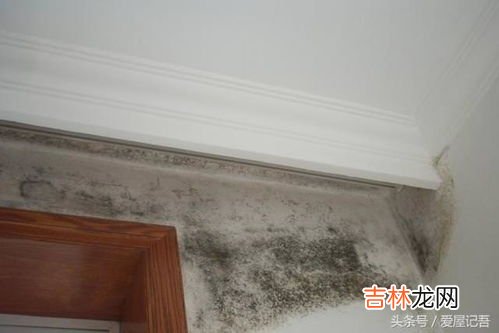 回南天墙面发霉的原因,房屋墙面发霉怎么回事原因都有什么